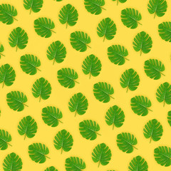 Tropical palm monstera leaves lies on a pastel colored paper. Nature summer concept pattern. Flat...