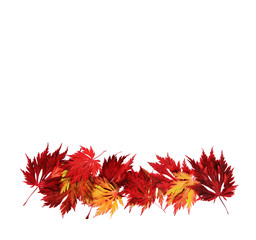 Autumn leaves, Herbst, Blätter, Herbstlaub, Bordüre, freigestellt, isoliert, Textraum, Textfläche, 
