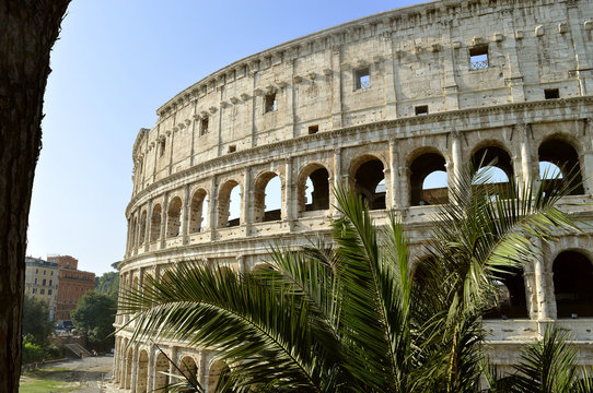 Colosseum Amphitheatre in Rome