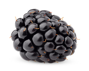 blackberry isolated on white background, clipping path, full depth of field