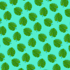Tropical palm monstera leaves lies on a pastel colored paper. Nature summer concept pattern. Flat...
