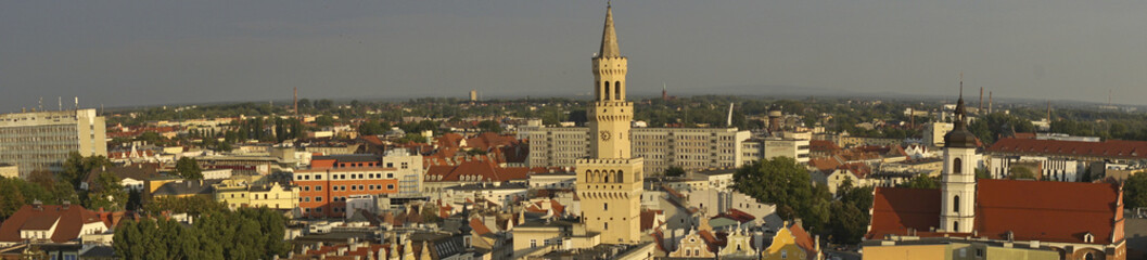 Fototapeta na wymiar widok z wieży katedralnej w Opolu, ratusz opolski i kościół franciszkański, panorama Opola,
