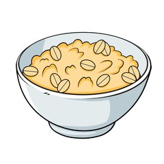 a bowl of oatmeal