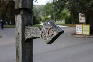 Pointer in autumn park. Autumn landscape.