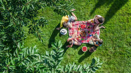 Happy family having picnic in park, parents with kids sitting on grass and eating healthy meals outdoors, aerial drone view from above, family vacation and weekend concept
