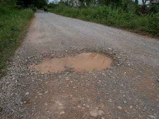 Obraz premium road in forest