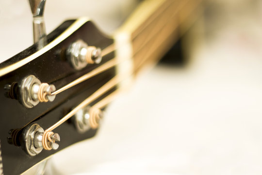 Acoustic bass isolated on the white background