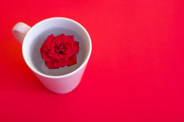 Arrangement from a cup for tea with rose