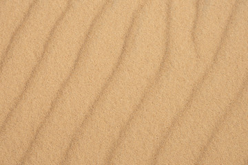 Fototapeta na wymiar Sand dune background or texture