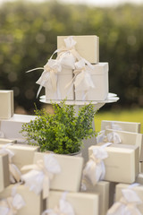 wedding, present, gift, detail, party, bomboniera, bomboniere, ceremony, baptism, italian, favors, restaurant, food, glass, festive, ribbon, background, guest, rose, sweet, indoor, confetti, closeup, 