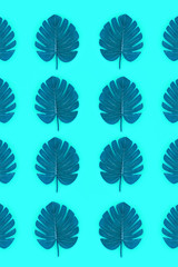 Tropical palm monstera leaves lies on a pastel colored paper. Nature summer concept pattern. Flat...