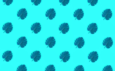 Tropical palm monstera leaves lies on a pastel colored paper. Nature summer concept pattern. Flat...