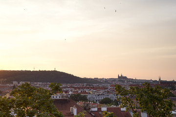 Panorama of Prague for traditional red roofs in old town of Prague on the sunset