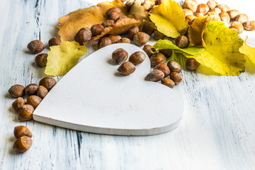 autumn leaves and nuts on a wooden, rustic white background