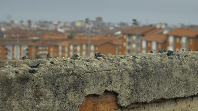 Old stone fence with sharp crashed bottles on the top and city district background