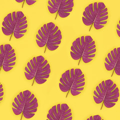 Tropical palm monstera leaves lies on a pastel colored paper. Nature summer concept pattern. Flat...