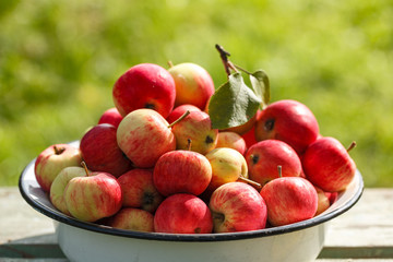 fresh harvest of homemade apples on a wooden table on a green background