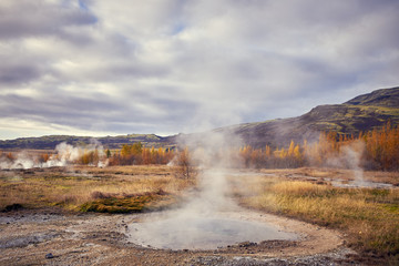 steam from geysers in Iceland in autumn