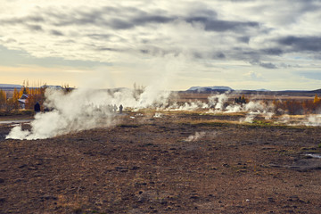 steam from geysers in Iceland in autumn