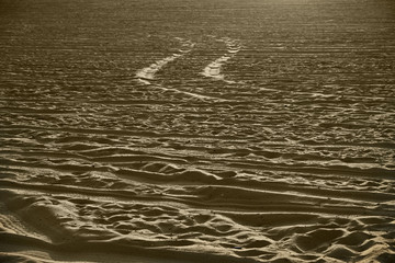 Traces of a car on the sand