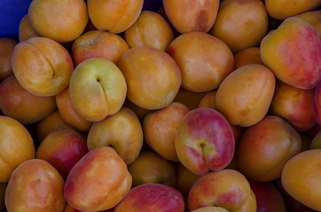 Heap of many ripe apricot fruits, can be used as a background, Sofia, Bulgaria 