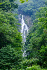 Fototapeta na wymiar 神庭の滝、湿度の高い夏の終わりの午後