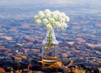 Decorative bottle on the rocks in the sea with shells. A discarded bottle floating in sea water....