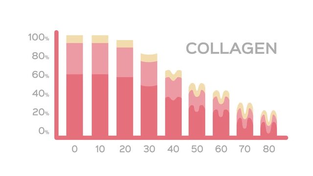 collagen in younger skin and aging graphic  / animation