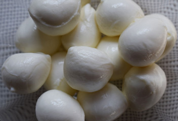 Milk food. Cottage cheese, cheese and a glass of fresh milk. Traditional Italian mozzarella cheese. Natural village food. Protein Breakfast.