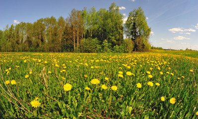 Obraz premium Spring in Radonezh, Moscow region, Russia