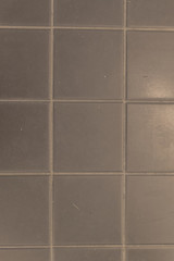 Classic floor and wall tile
