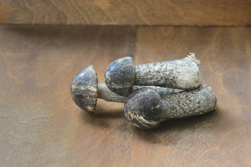 several mushrooms on a wooden table-top
