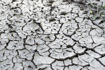 Dry soil texture background. Arid climate. surface detail, top view arid soil is dried and broken with large cracks
