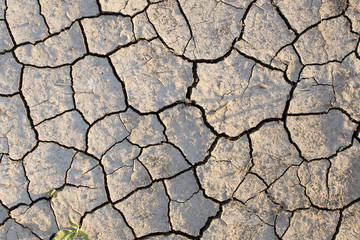 Dry soil texture background. Arid climate. surface detail, top view arid soil is dried and broken with large cracks