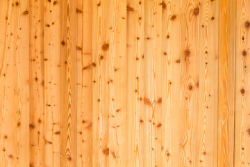 Pine texture with knots 