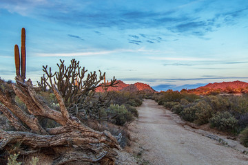 Arizona desert sunset road to no where in McDowell Sonoran Preserve Scottsdale
