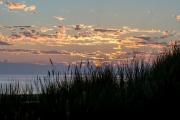 Silhouetted grass on a sand dune at Formby beach, with a sunset overhead