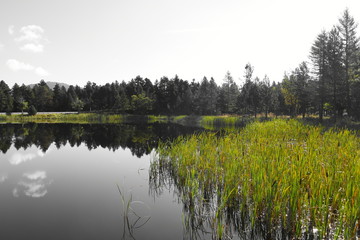 Etang dans les Pyrénées