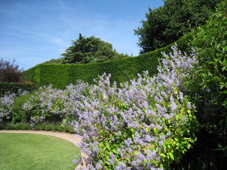 Garden Hidcote