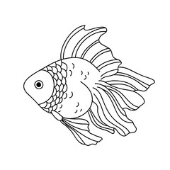 A fish. Contour drawing. Coloring page