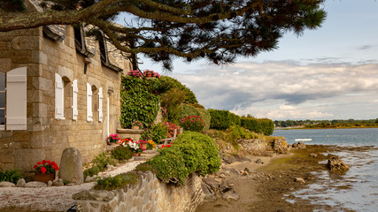 Fototapeta premium etel