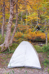 Fototapeta premium Grey silver tent in a remote wild campsite in the mountains with copy space for text / Camping gear and equipment / Camp in the forest in autumn / Patagonia Argentina