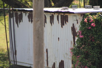 container in bush