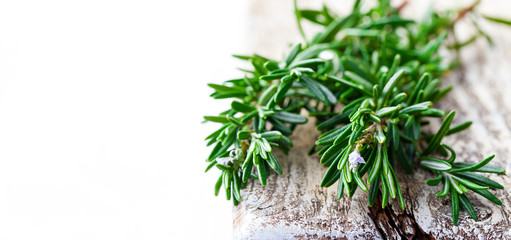Fresh rosemary sprigs on wooden cutting board. White background. Copy space.