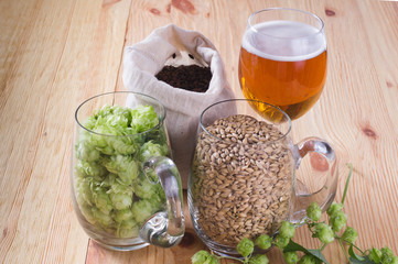 Glass of beer, cones of hop, pale caramel malt in glass mugs and chocolate malt in bag, Ingredient in craft beer brewing from grain barley malt. Ale or lager from pilsner malt.