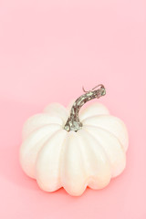 White pumpkins © arinahabich