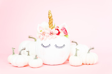 Unicorn pumpkin © arinahabich