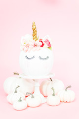 Unicorn pumpkin © arinahabich