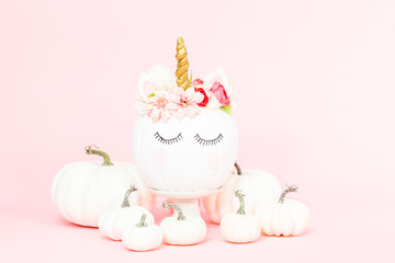 Unicorn pumpkin © arinahabich