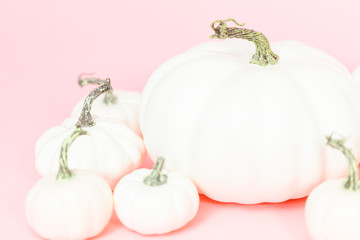 White pumpkins © arinahabich